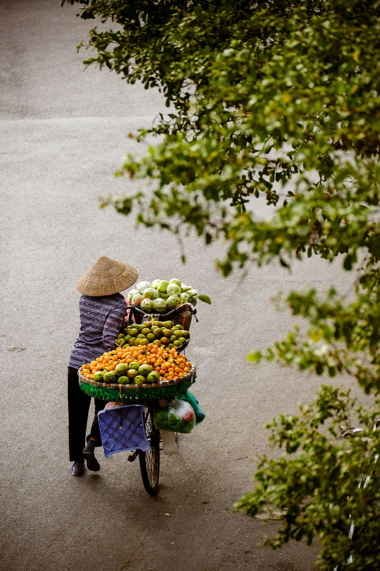 A street vendor selling fruit from a bicycle on a Vietnamese street
